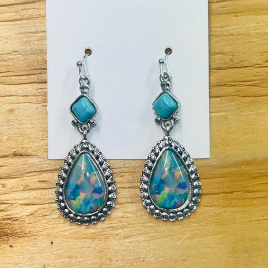 Multi-Color Earrings