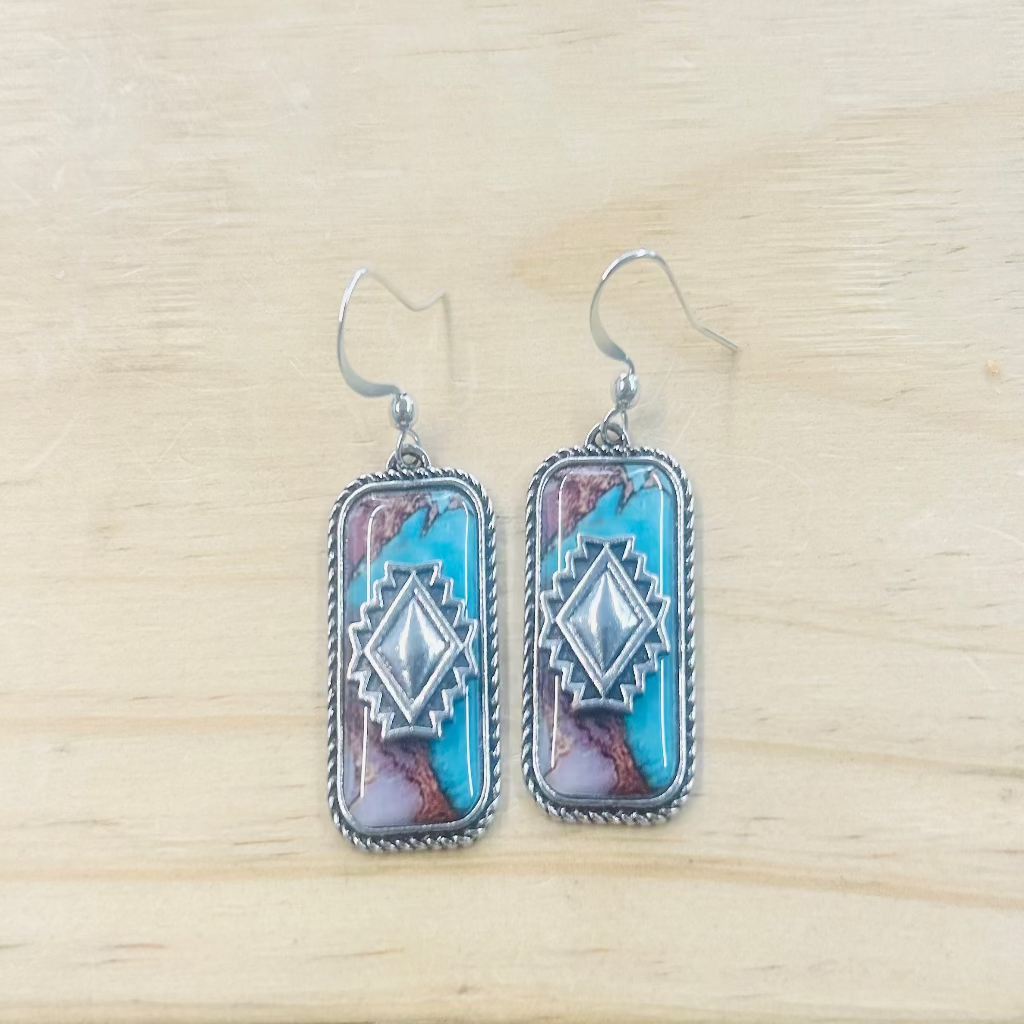 Multi-Color Earrings